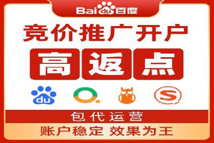 SEM代运营案例分析：精准投放策略解析